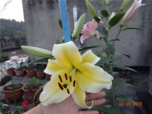 DSC08860.jpg