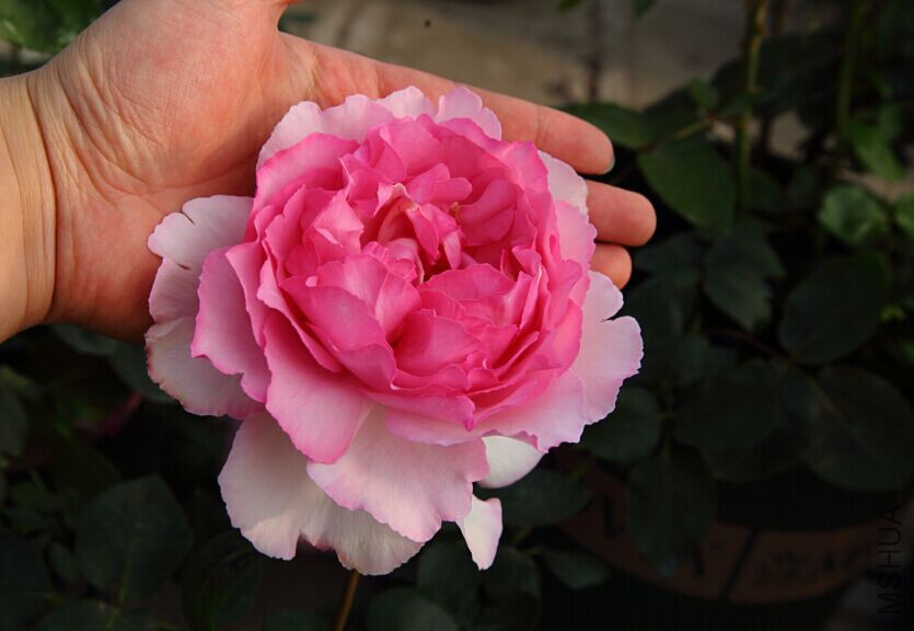 QQͼƬ20150503180658.jpg