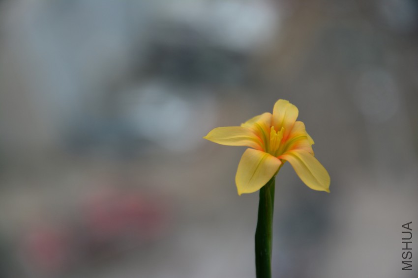 DSC_2213.jpg