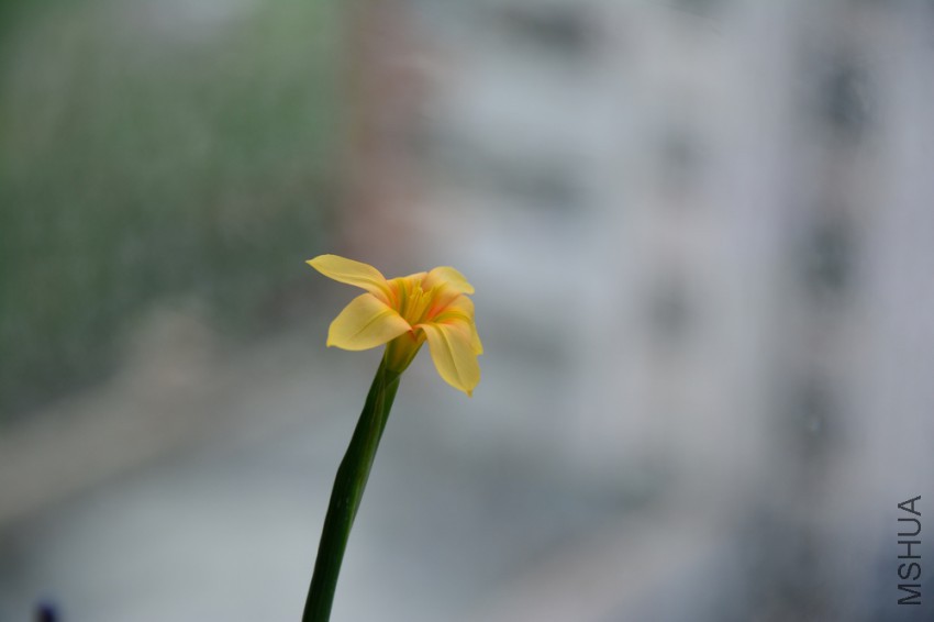DSC_2214.jpg