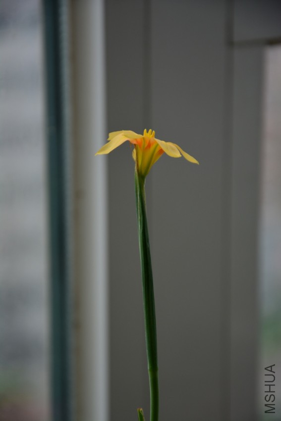 DSC_2215.jpg
