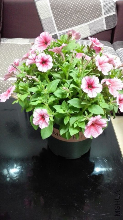 QQͼƬ20150503203014_����.jpg
