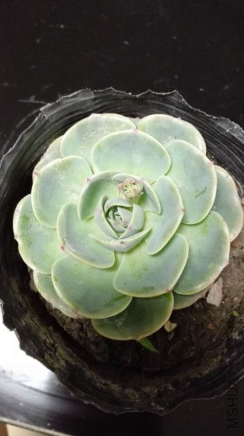 QQͼƬ20150503203019_����.jpg