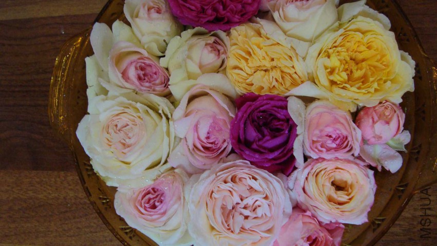DSC08623.JPG