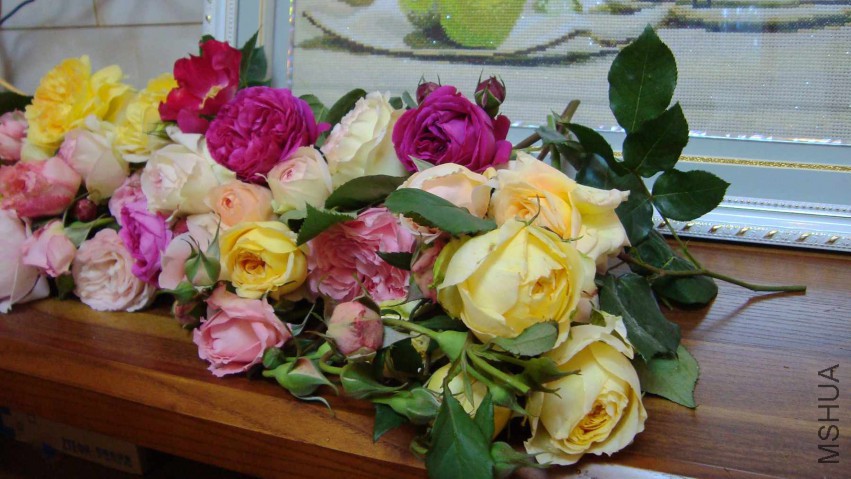 DSC08608.JPG