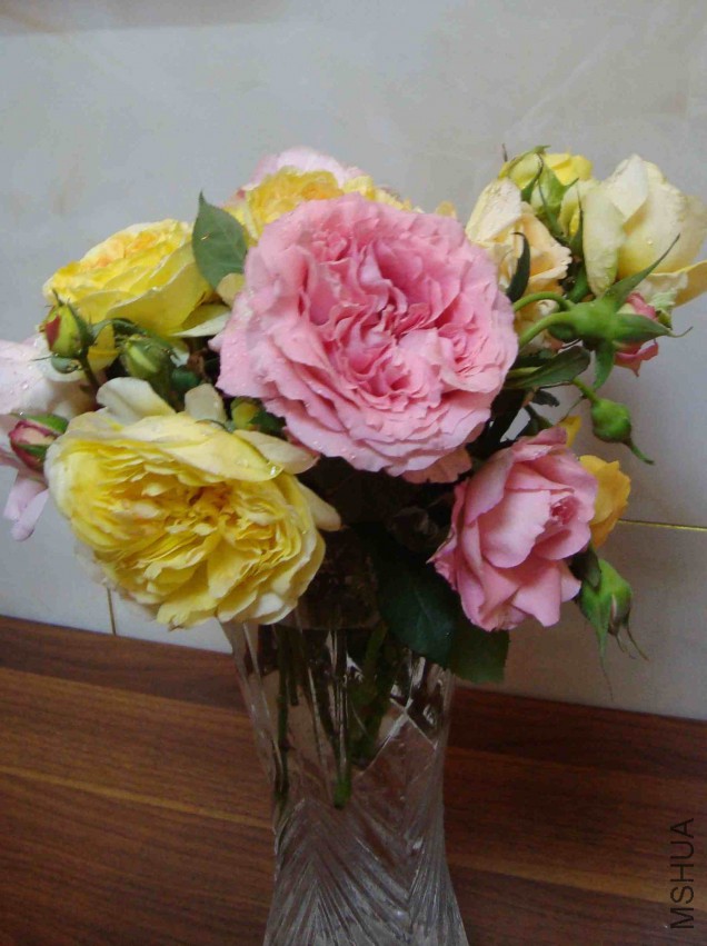 DSC08613.JPG