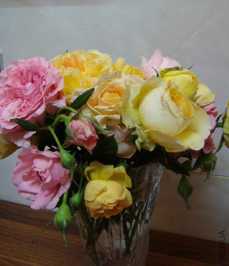 DSC08614.JPG