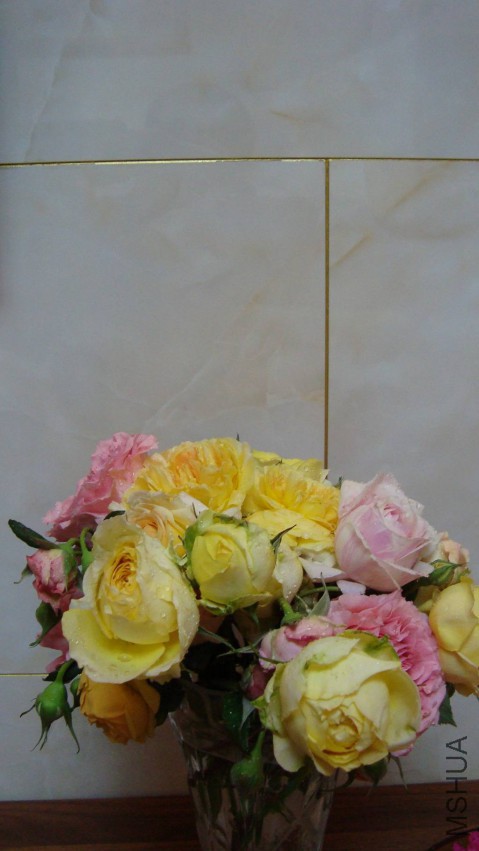 DSC08615.JPG