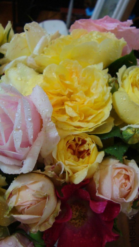 DSC08619.JPG
