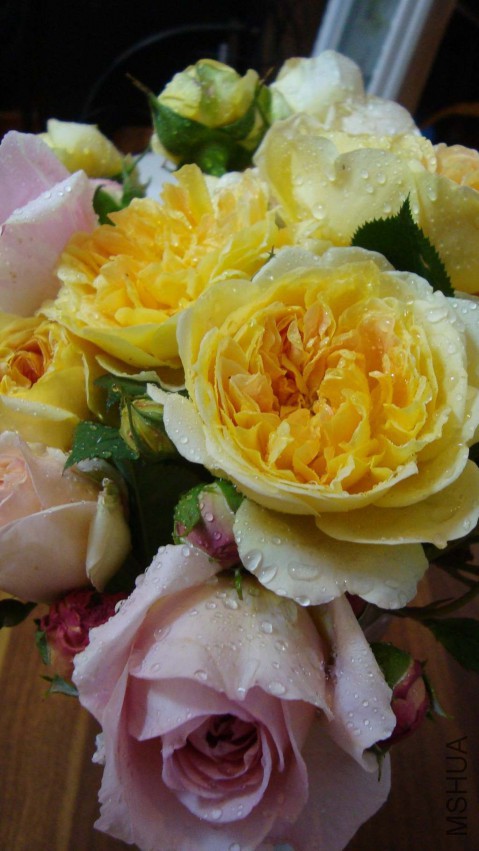 DSC08620.JPG