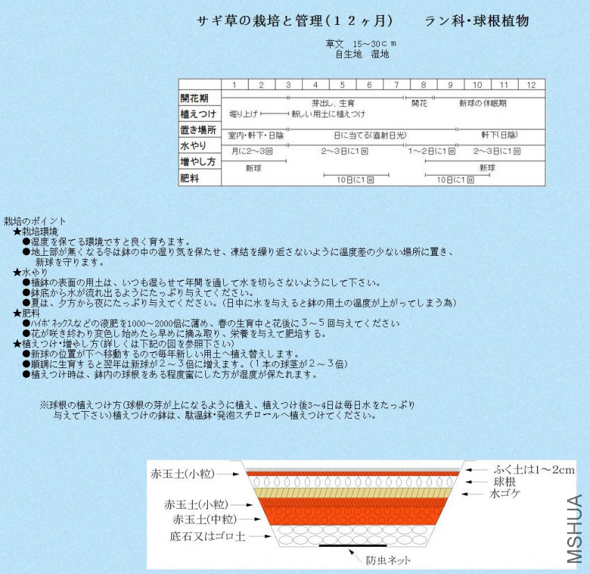 �ز�����3.jpg