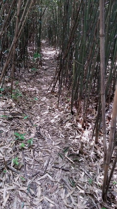 20150502_143745.jpg