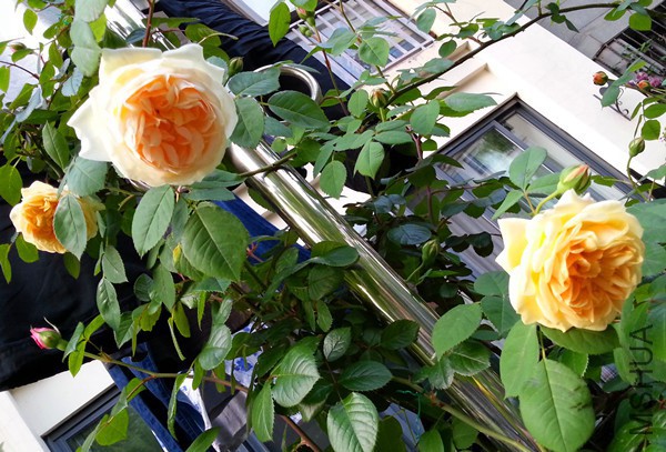 ��Ц��³����20150503C.jpg