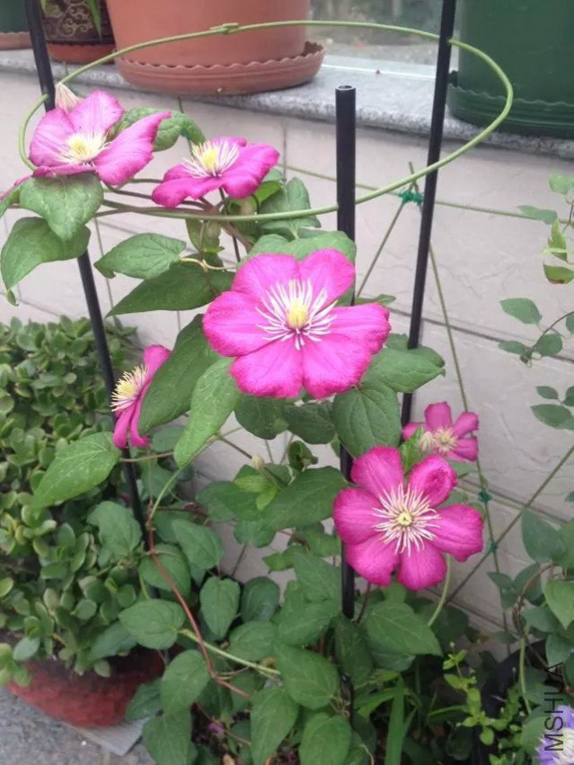 ������ﰺ�����ˣ�û�����Ա�������ֻ����ֻ��