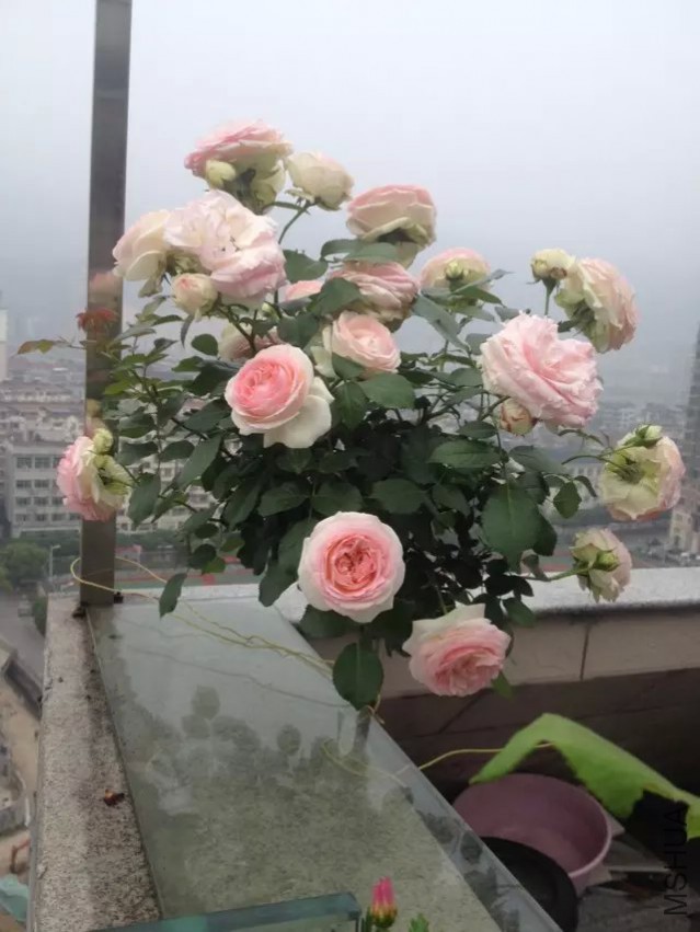 �ż��죬�Ϳ����ˣ����ĳ�