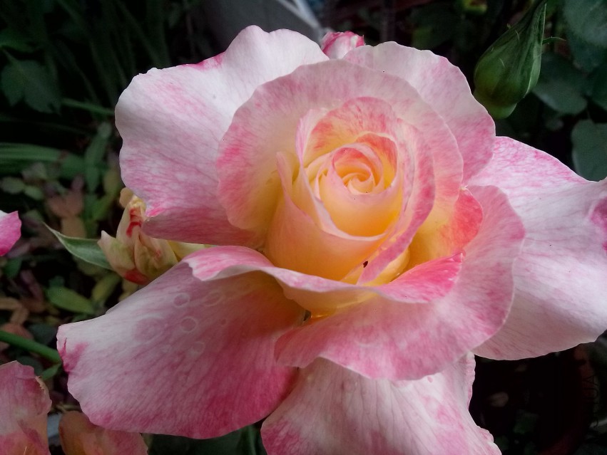 ��Ƭ_20150503_082307.jpg