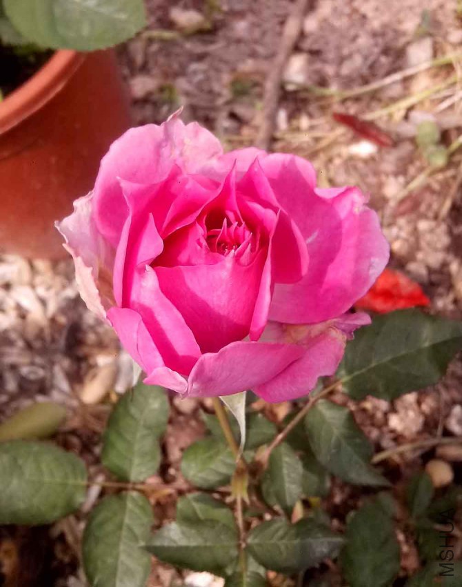 ��Ƭ_20150410_135828.jpg