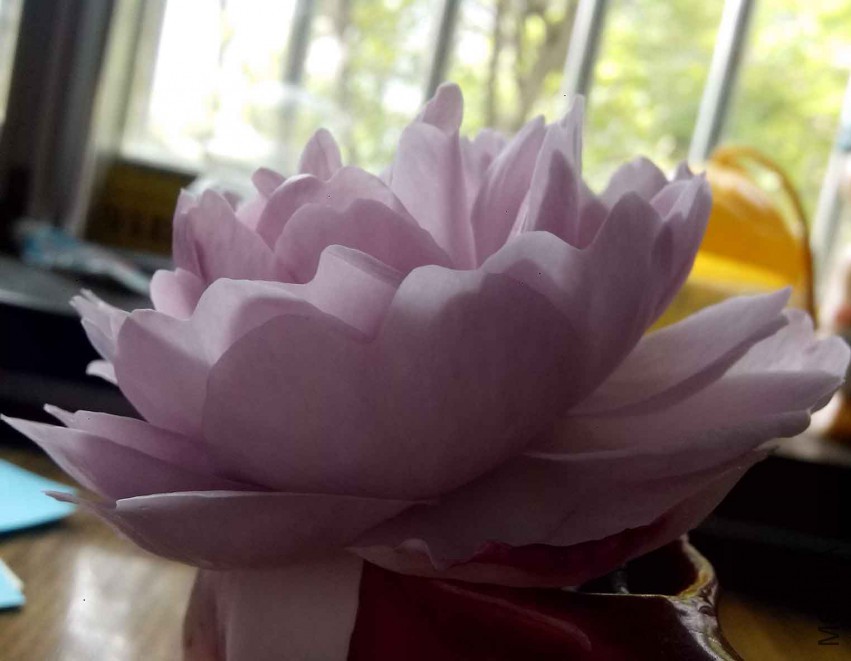 ��Ƭ_20150425_100036.jpg