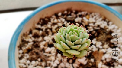 2015-05-04 12.44.08.jpg