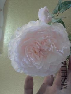 20150504_105916.jpg