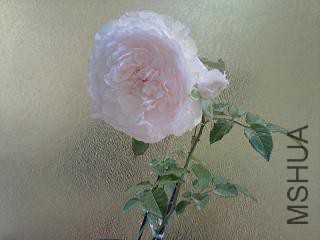 20150504_110038.jpg