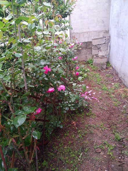 IMG20150504114023.jpg