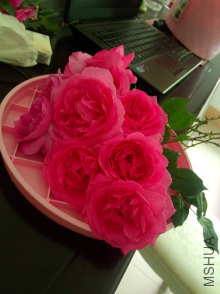 IMG20150504115513.jpg