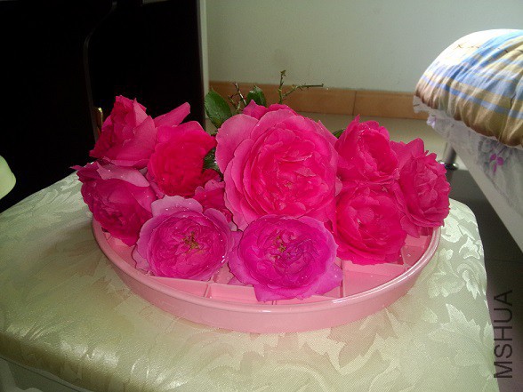 IMG20150504115542.jpg