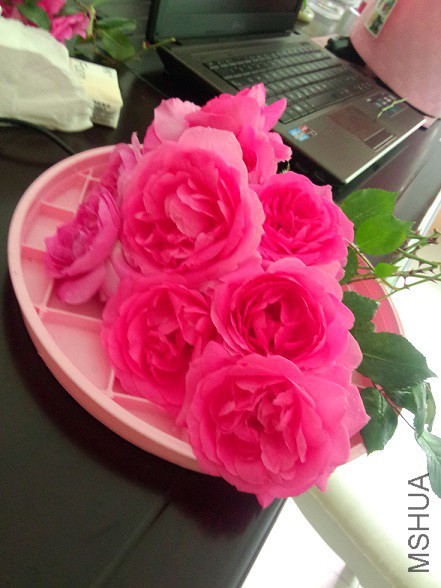 IMG20150504115514.jpg