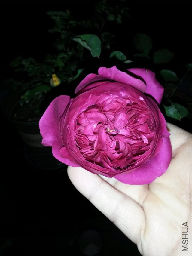 QQͼƬ20150504160900.jpg