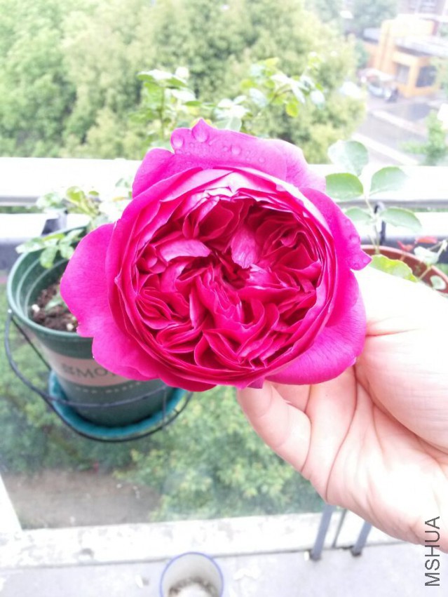 QQͼƬ20150504160909.jpg