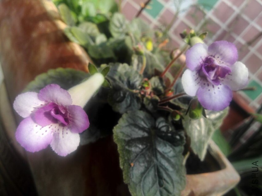 QQͼƬ20150504182020.jpg
