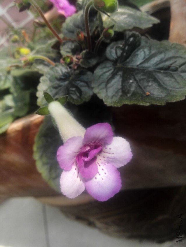 QQͼƬ20150504182035.jpg
