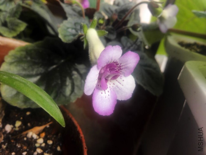 QQͼƬ20150504182048.jpg
