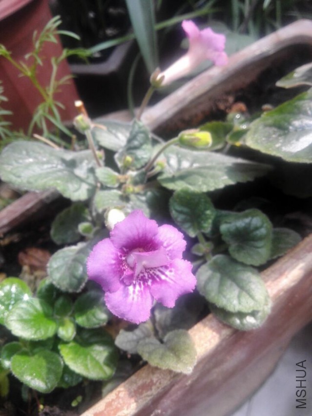 QQͼƬ20150504182040.jpg
