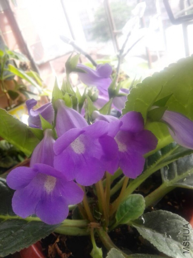 QQͼƬ20150504182055.jpg