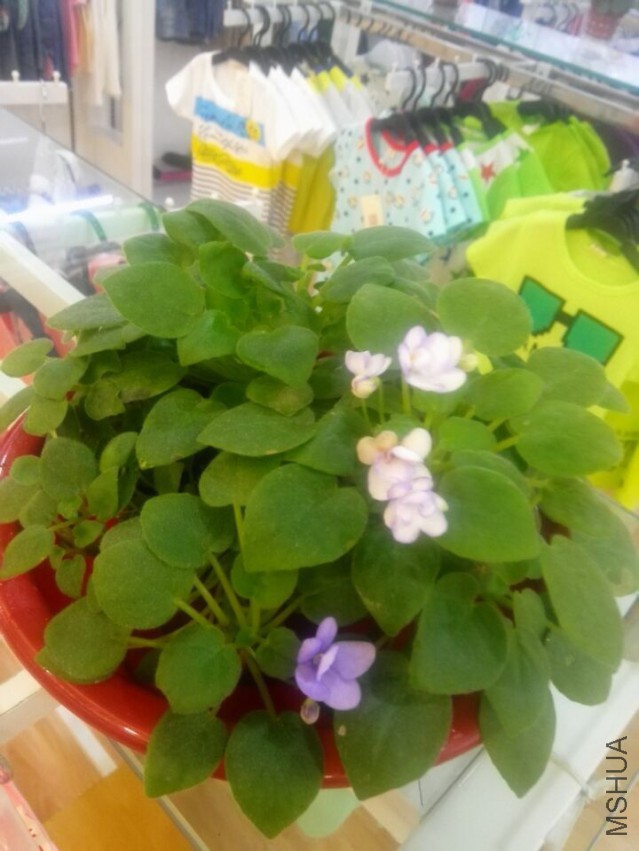 QQͼƬ20150504182059.jpg