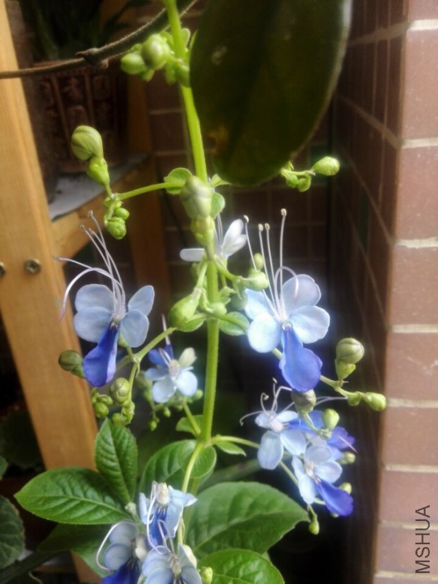 QQͼƬ20150504182107.jpg