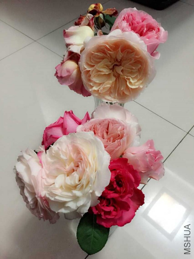 QQͼƬ20150504185024.jpg
