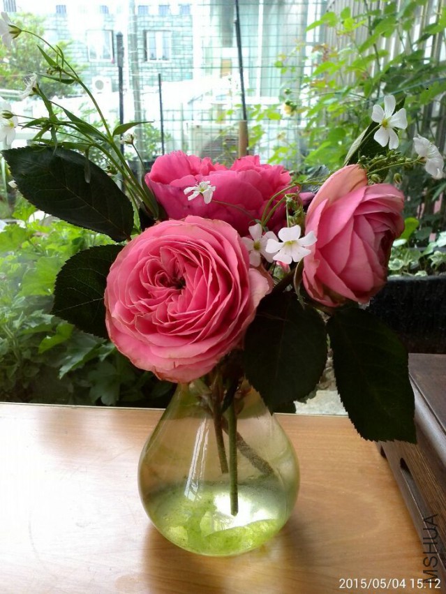 QQͼƬ20150504212028.jpg
