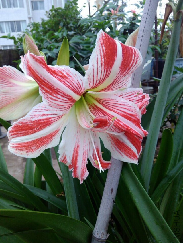 QQͼƬ20150504214833.jpg