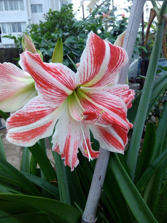 QQͼƬ20150504214845.jpg
