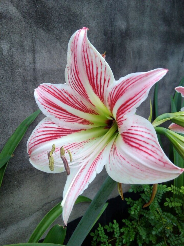 QQͼƬ20150504214850.jpg