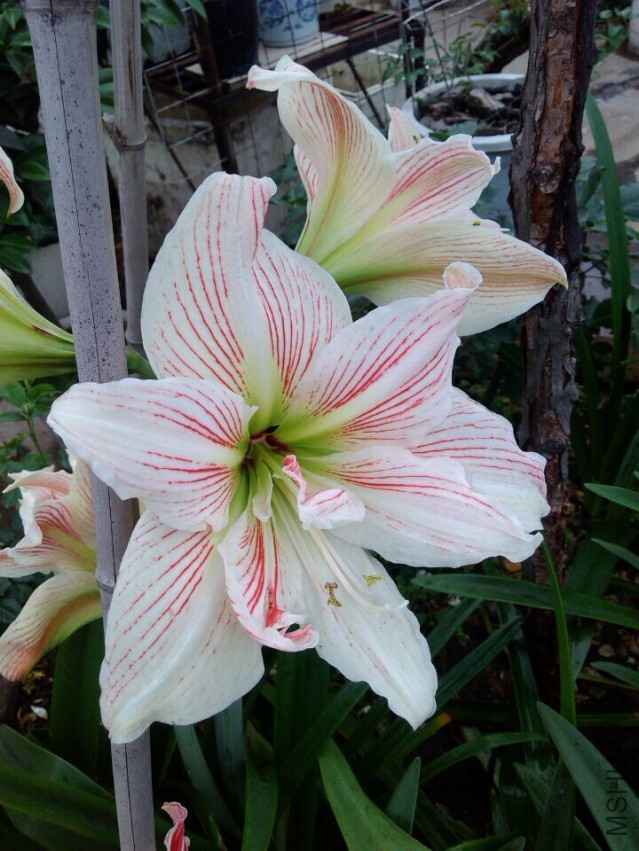 QQͼƬ20150504214854.jpg