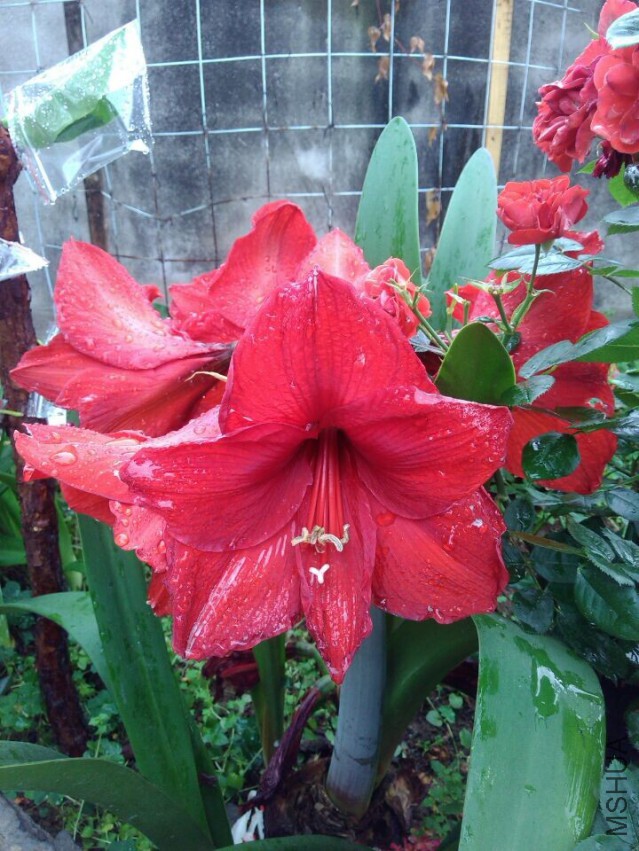 QQͼƬ20150504214906.jpg