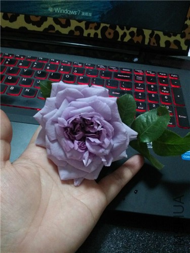 QQͼƬ20150429184627.jpg