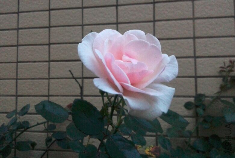 QQͼƬ20150504233125.jpg