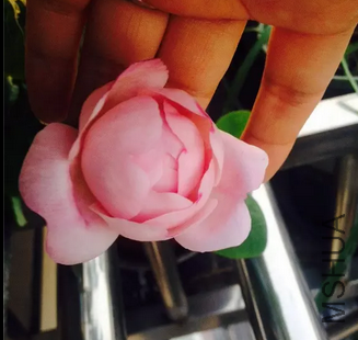 QQͼƬ20150505091429.png