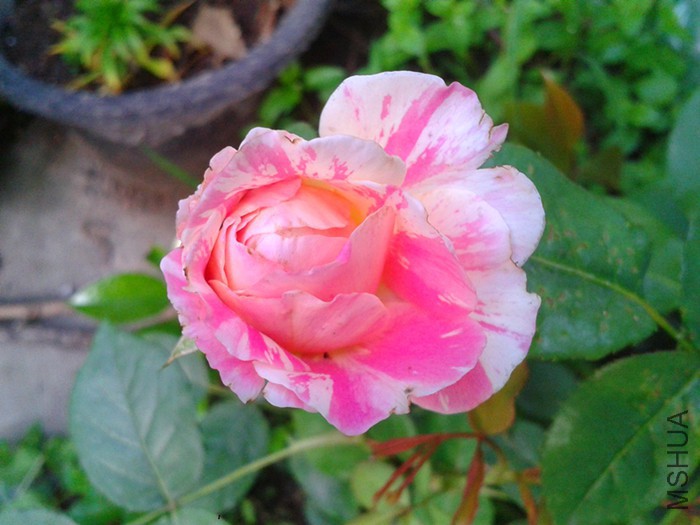 2015-05-04 05.42.27.jpg