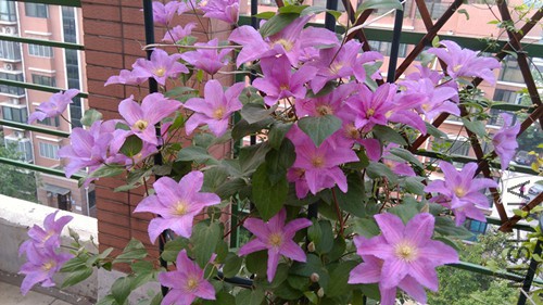 IMG_20150505_070129.jpg